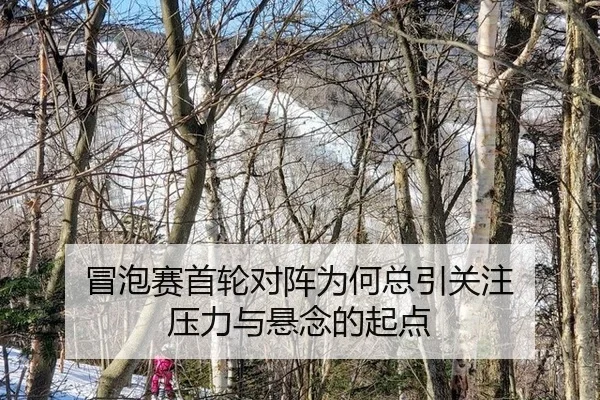 mao-pao-sai-shou-lun-dui-zhen-wei-he-zong-yin-guan-zhu-ya-li-yu-xuan-nian-de-qi-dian-2-716.jpg